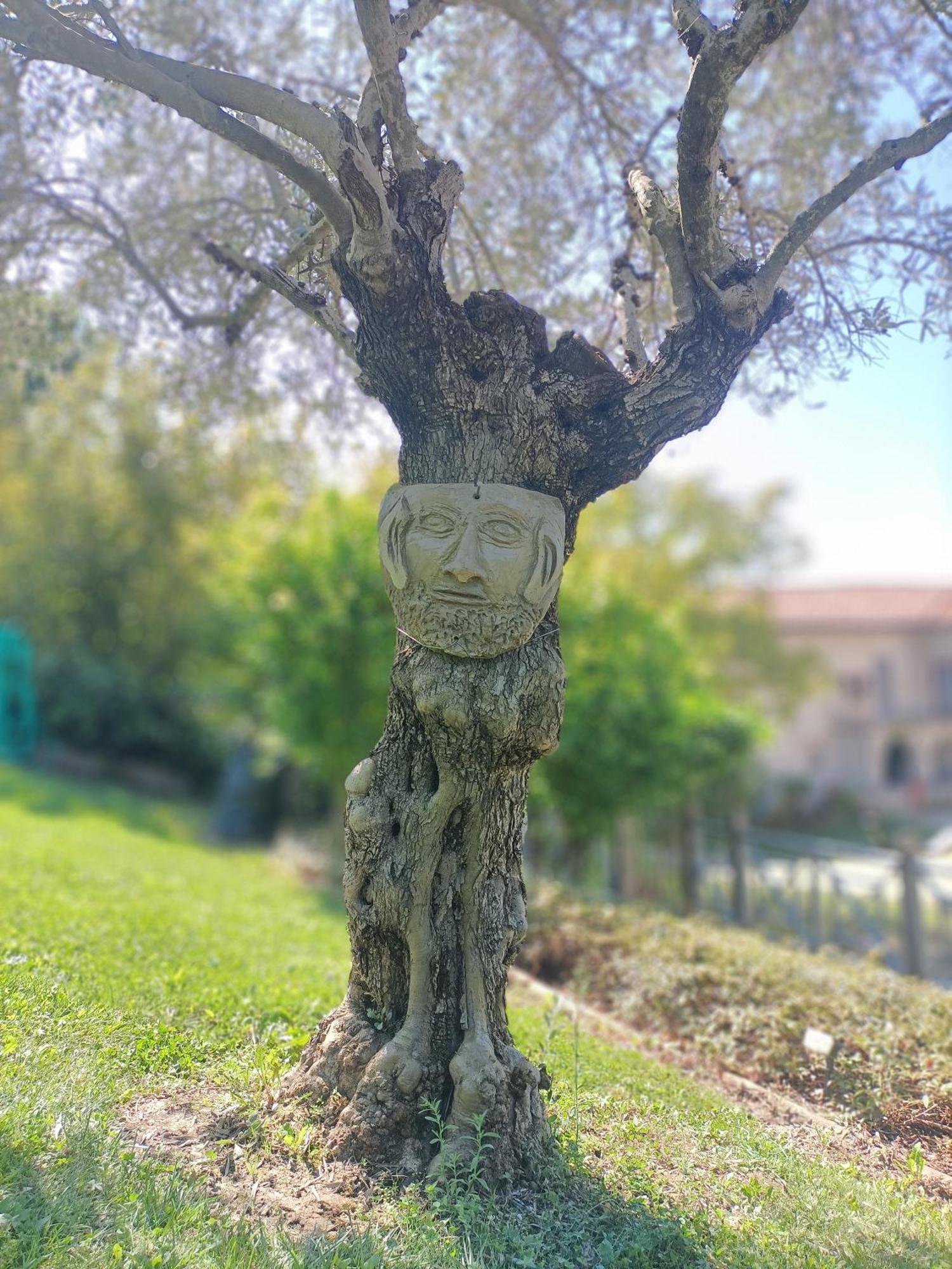 Casa Del Canta Borgomale المظهر الخارجي الصورة